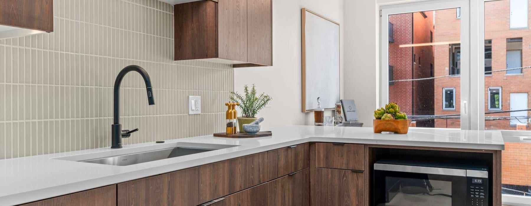 Modern Kitchen with updated appliances and a plant