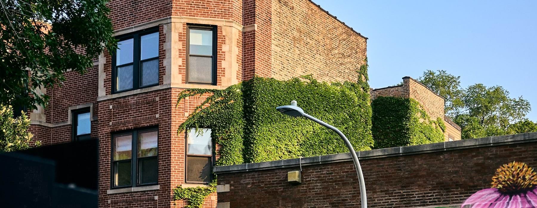 brick building front in lakeview